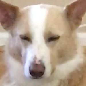 Meet your Posher, Martha